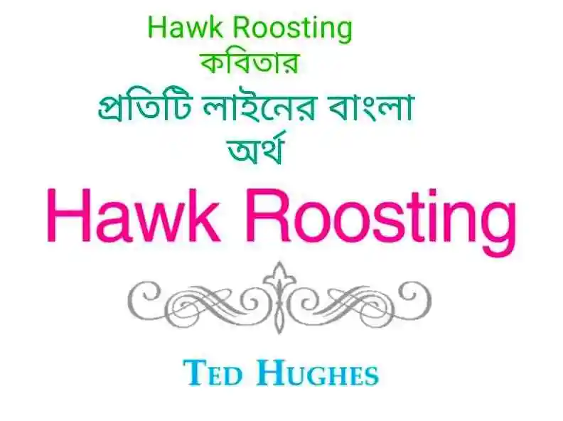 Hawk Roosting Line by Line Bengali Meaning