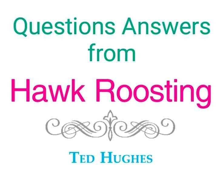 Hawk Roosting Questions Answers HS 4th Semester English